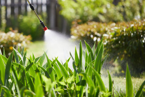 24/7 Emergency Fumigation Services experts in Butler, NJ