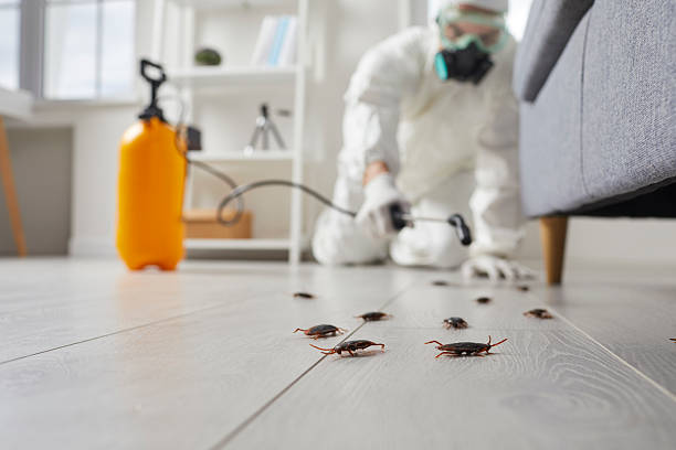 Trusted Fumigation Services service in Butler, NJ - Nex Pest Control