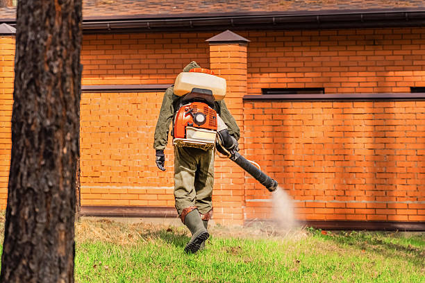 Trusted Termite Control service in Butler, NJ - Nex Pest Control